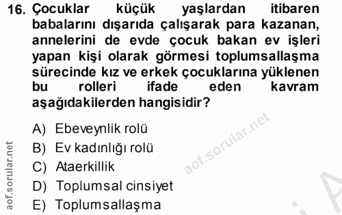16. soru: Çocuklar küçük yaşlardan itibaren babalarını dışarıda çalışarak para kazanan, annelerini de evde çocuk bakan ev işler…