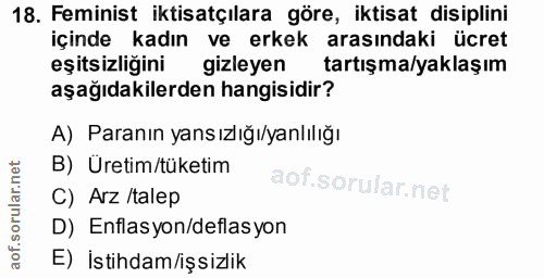 18. soru: Feminist iktisatçılara göre, iktisat disiplini içinde kadın ve erkek arasındaki ücret eşitsizliğini gizleyen tartışma…