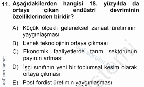 11. soru: Aşağıdakilerden hangisi 18. yüzyılda da ortaya çıkan endüstri devriminin özelliklerinden biridir? A) Küçük ölçekli ge…
