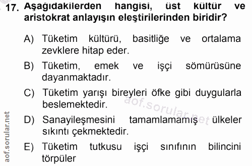 17. soru: Aşağıdakilerden hangisi, üst kültür ve ve aristokrat anlayışın eleştirilerinden biridir? A) Tüketim kültürü, basitliğ…