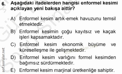 6. soru: Aşağıdaki ifadelerden hangisi enformel kesimi açıklayan yeni bakışa aittir? A) Enformel kesim artık-emek havuzunu tem…