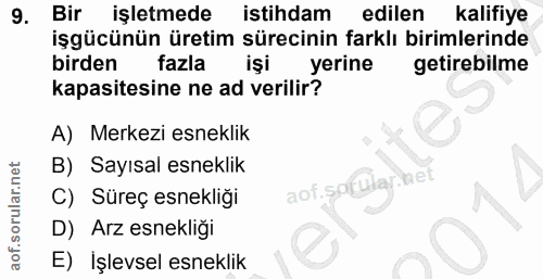 9. soru: Bir işletmede istihdam edilen kalifiye işgücünün üretim sürecinin farklı birimlerinde birden fazla işi yerine getireb…
