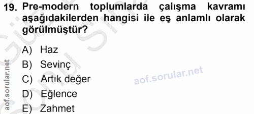 19. soru: Pre-modern toplumlarda çalışma kavramı aşağıdakilerden hangisi ile eş anlamlı olarak görülmüştür? A) Haz B) Sevinç C)…