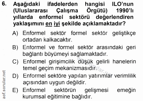 6. soru: Aşağıdaki ifadelerden hangisi ILO'nun (Uluslararası Çalışma Örgütü) 1990'lı yıllarda enformel sektörü değerlendiren y…