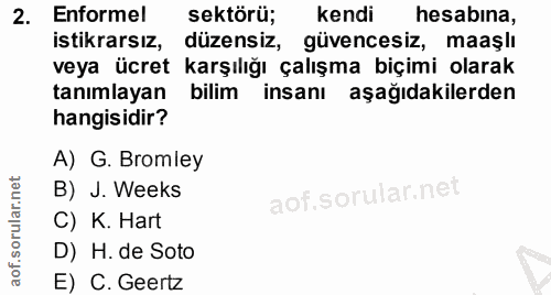 2. soru: Enformel sektörü; kendi hesabına, istikrarsız, düzensiz, güvencesiz, maaşlı veya ücret karşılığı çalışma biçimi olara…