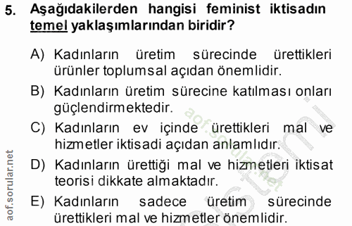 5. soru: Aşağıdakilerden hangisi feminist iktisadın temel yaklaşımlarından biridir? A) Kadınların üretim sürecinde ürettikleri…