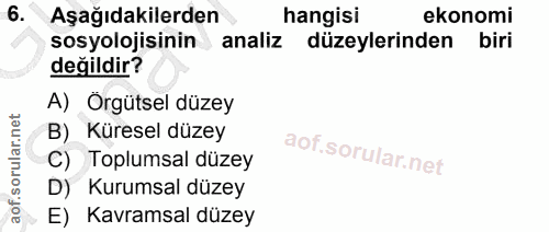 6. soru: Aşağıdakilerden hangisi ekonomi sosyolojisinin analiz düzeylerinden biri değildir? A) Orgütsel düzey B) Küresel düzey…