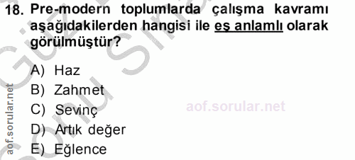 18. soru: Pre-modern toplumlarda çalışma kavramı aşağıdakilerden hangisi ile eş anlamlı olarak görülmüştür? A) Haz B) Zahmet C)…