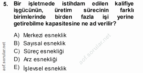 5. soru: Bir işletmede istihdam edilen kalifiye işgücünün, üretim sürecinin farklı birimlerinde birden fazla işi yerine getire…