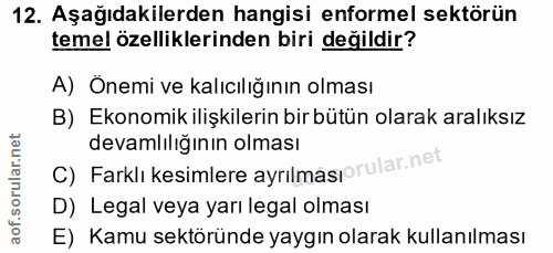 12. soru: Aşağıdakilerden hangisi enformel sektörün temel özelliklerinden biri değildir? A) Önemi ve kalıcılığının olması B) Ek…