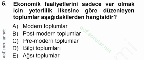 5. soru: Ekonomik faaliyetlerini sadece var olmak için yeterlilik ilkesine göre düzenleyen toplumlar aşağıdakilerden hangisidi…