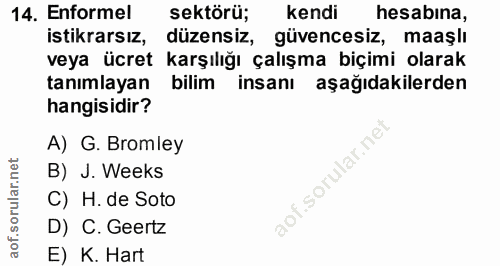 14. soru: Enformel sektörü; kendi hesabina, istikrarsız, düzensiz, güvencesiz, maaşlı veya ücret karşılığı çalışma biçimi olara…