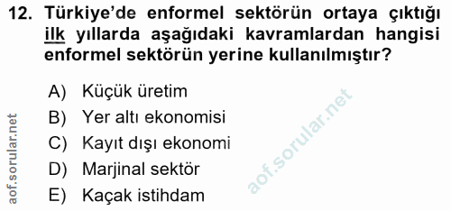 12. soru: Türkiye'de enformel sektörün ortaya çıktığı ilk yıllarda aşağıdaki kavramlardan hangisi enformel sektörün yerine kull…