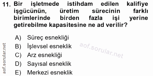 11. soru: Bir işletmede istihdam edilen kalifiye işgücünün, üretim sürecinin farklı birimlerinde birden fazla işi yerine getire…