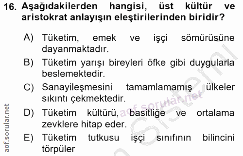16. soru: Aşağıdakilerden hangisi, üst kültür ve aristokrat anlayışın eleştirilerinden biridir? A) Tüketim, emek ve işçi sömürü…