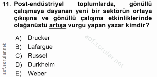11. soru: Post-endüstriyel toplumlarda, gönüllü çalışmaya dayanan yeni bir sektörün ortaya çıkışına ve gönüllü çalışma etkinlik…