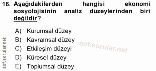16. soru: Aşağıdakilerden hangisi ekonomi sosyolojisinin analiz düzeylerinden biri değildir? A) Kurumsal düzey B) Kavramsal düz…
