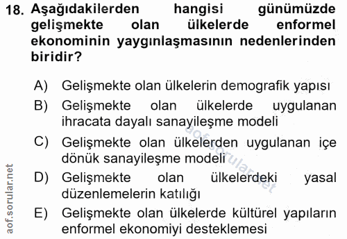 18. soru: Aşağıdakilerden hangisi günümüzde gelişmekte olan ülkelerde enformel ekonominin yaygınlaşmasının nedenlerinden biridi…