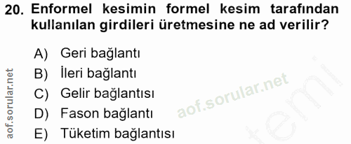 20. soru: Enformel kesimin formel kesim tarafından kullanılan girdileri üretmesine ne ad verilir? A) Geri bağlantı B) İleri bağ…