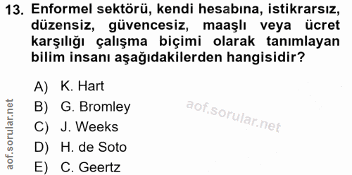 13. soru: Enformel sektörü, kendi hesabına, istikrarsız, düzensiz, güvencesiz, maaşlı veya ücret karşılığı çalışma biçimi olara…