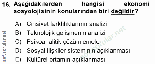 16. soru: Aşağıdakilerden hangisi ekonomi sosyolojisinin konularından biri değildir? A) Cinsiyet farklılıklarının analizi ir.ne…