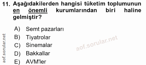 11. soru: Aşağıdakilerden hangisi tüketim toplumunun en onemli kurumlarından haline gelmiştir? A) Semt pazarları B) Tiyatrolar…