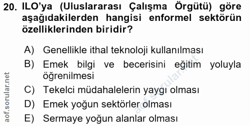 20. soru: ILO'ya (Uluslararası Çalışma Örgütü) göre aşağıdakilerden hangisi enformel sektörün özelliklerinden biridir? A) Genel…