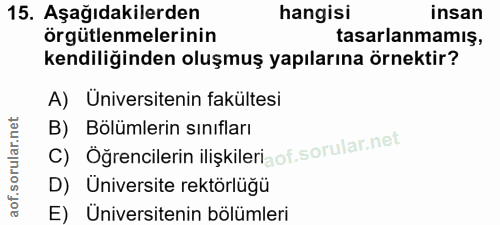15. soru: Aşağıdakilerden hangisi insan örgütlenmelerinin tasarlanmamış, kendiliğinden oluşmuş yapılarına örnektir? A) Üniversi…
