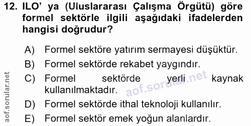 12. soru: ILO' ya (Uluslararası Çalışma Örgütü) göre formel sektörle ilgili aşağıdaki ifadelerden hangisi doğrudur? A) Formel s…