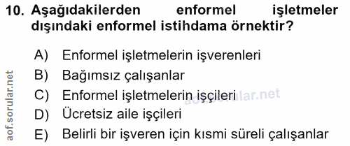 10. soru: Aşağıdakilerden enformel işletmeler dışındaki enformel istihdama örnektir? A) Enformel işletmelerin işverenleri B) Ba…