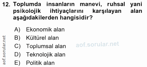 12. soru: Toplumda insanların manevi, ruhsal yani psikolojik ihtiyaçlarını karşılayan alan aşağıdakilerden hangisidir? A) Ekono…