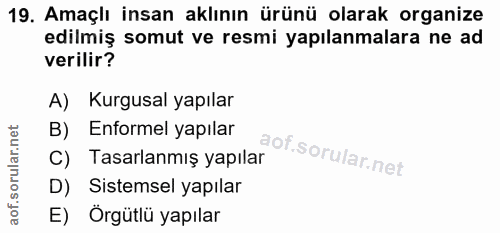 19. soru: Amaçlı insan aklının ürünü olarak organize edilmiş somut ve resmi yapılanmalara ne ad verilir? A) Kurgusal yapılar B)…