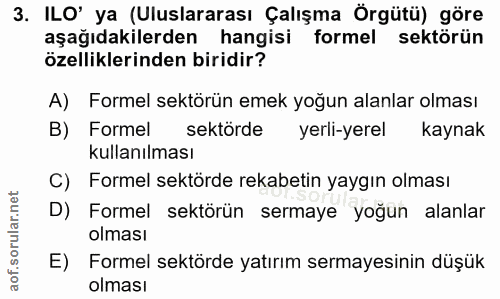 3. soru: ILO' ya (Uluslararası Çalışma Örgütü) göre aşağıdakilerden hangisi formel sektörün özelliklerinden biridir? A) Formel…