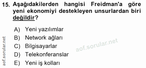 15. soru: Aşağıdakilerden hangisi Freidman'a göre yeni ekonomiyi destekleyen unsurlardan biri değildir? A) Yeni yazılımlar B) N…