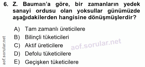 6. soru: Z. Bauman'a göre, bir zamanların yedek sanayi ordusu olan yoksullar günümüzde aşağıdakilerden hangisine dönüşmüşlerdi…