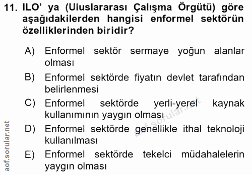 11. soru: ILO' ya (Uluslararası Çalışma Örgütü) göre aşağıdakilerden hangisi enformel sektörün özelliklerinden biridir? A) Enfo…