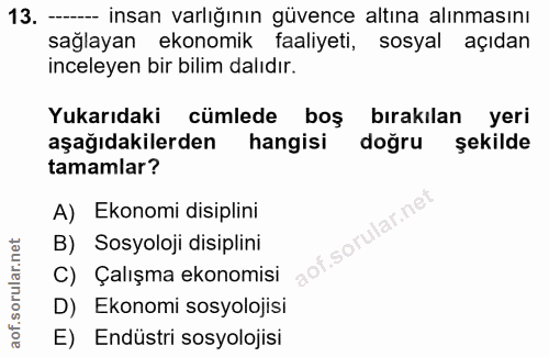 13. soru: - insan varlığının güvence altına alınmasını sağlayan ekonomik faaliyeti, sosyal açıdan inceleyen bir bilim dalıdır.…