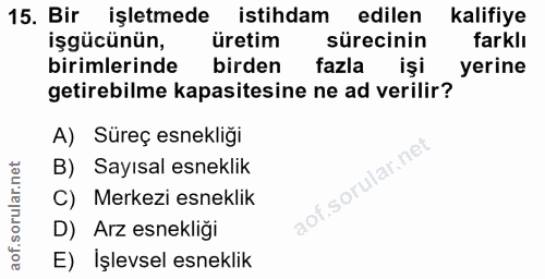 15. soru: Bir işletmede istihdam edilen kalifiye işgücünün, üretim sürecinin farklı birimlerinde birden fazla işi yerine getire…