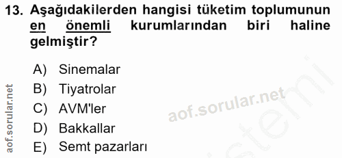 13. soru: Aşağıdakilerden hangisi tüketim toplumunun en önemli kurumlarından biri haline gelmiştir? A) Sinemalar B) Tiyatrolar…