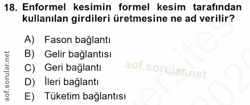 18. soru: Enformel kesimin formel kesim tarafından kullanılan girdileri üretmesine ne ad verilir? A) Fason bağlantı B) Gelir ba…