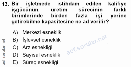 13. soru: Bir işletmede istihdam edilen kalifiye işgücünün, üretim sürecinin farklı birimlerinde birden fazla işi yerine getire…