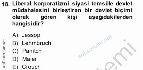 18. soru: Liberal korporatizmi siyasi temsille devlet müdahalesini birleştiren bir devlet biçimi olarak gören kişi aşağıdakiler…