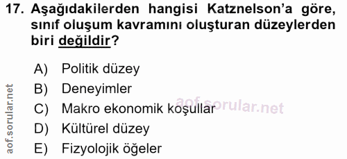 17. soru: Aşağıdakilerden hangisi Katznelson'a göre, sınıf oluşum kavramını oluşturan düzeylerden biri değildir? A) Politik düz…