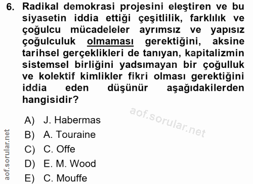 6. soru: Radikal demokrasi projesini eleştiren ve bu siyasetin iddia ettiği çeşitlilik, farklılık ve çoğulcu mücadeleler ayrım…