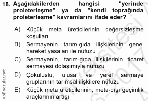18. soru: Aşağıdakilerden hangisi "yerinde proleterleşme" ya da "kendi toprağında proleterleşme" kavramlarını ifade eder? A) Kü…