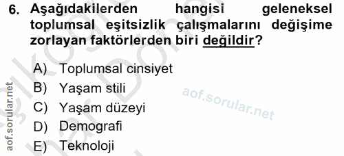 6. soru: Aşağıdakilerden hangisi geleneksel toplumsal eşitsizlik çalışmalarını değişime zorlayan faktörlerden biri değildir? A…