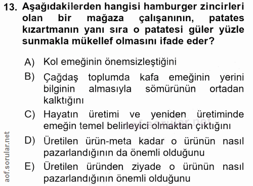 13. soru: Aşağıdakilerden hangisi hamburger zincirleri olan bir mağaza çalışanının, patates kızartmanın yanı sıra o patatesi gü…