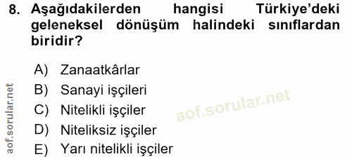 8. soru: Aşağıdakilerden hangisi Türkiye'deki geleneksel dönüşüm halindeki sinıflardan biridir? A) Zanaatkârlar B) Sanayi işçi…
