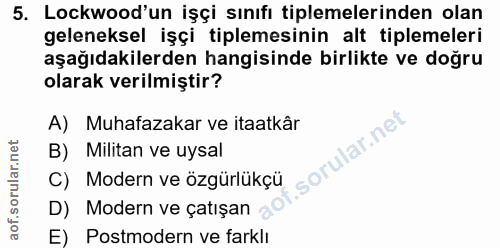 5. soru: Lockwood'un işçi sınıfı tiplemelerinden olan geleneksel işçi tiplemesinin alt tiplemeleri aşağıdakilerden hangisinde…