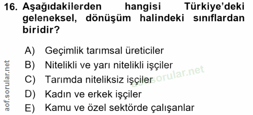 16. soru: Aşağıdakilerden hangisı Türkiye'deki geleneksel, dönüşüm halindeki sınıflardan biridir? A) Geçimlik tarımsal üreticil…